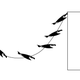 Illustration for article titled Turns out Batman's cape is lethal. To himself.
